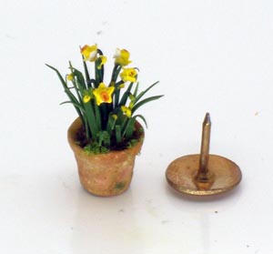 24th Scale Daffodils